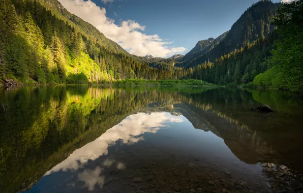 Picture the sky, nature, lake, reflection