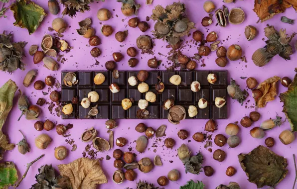 Shell, chocolate bar, hazelnuts, dry leaves