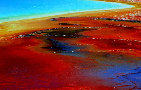 Lake, USA, geyser, Yellowstone national Park