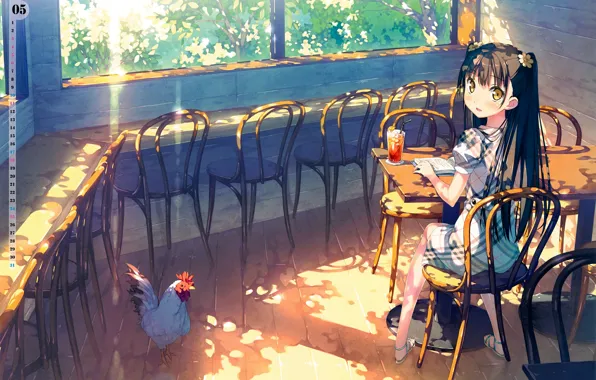 The sun, table, Windows, chairs, chicken, may, girl, veranda