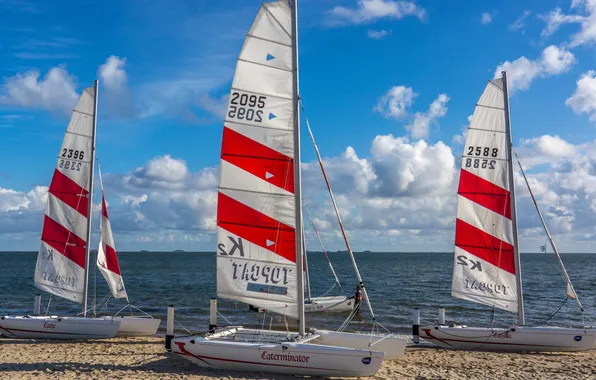 Sea, the sky, shore, boat, yacht, sail, catamaran