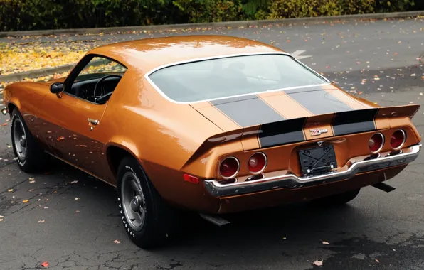 Picture leaves, orange, background, coupe, Chevrolet, Camaro, Chevrolet, 1971