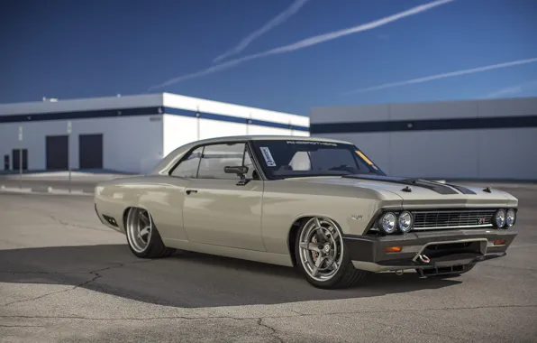 Picture Chevrolet, Chevelle, Custom 1966