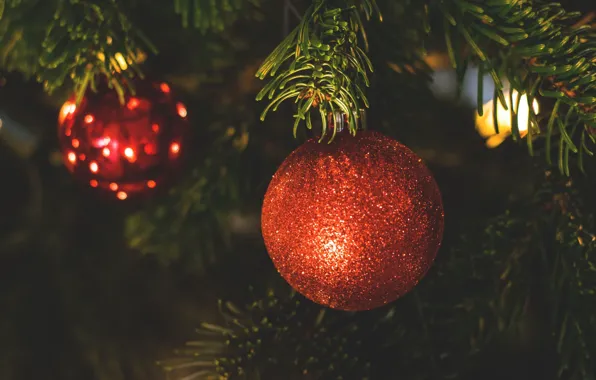Holiday, tree, new year, Christmas, ball, decoration, christmas, new year