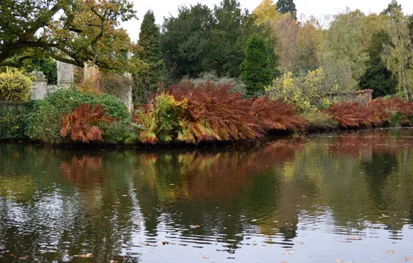 Picture autumn, lake, Park, England, colors, UK, park, autumn