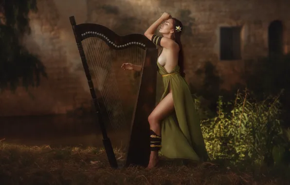 Chest, girl, dress, harp, profile, leg, Evgeny Loza, Yevhen Makarenko