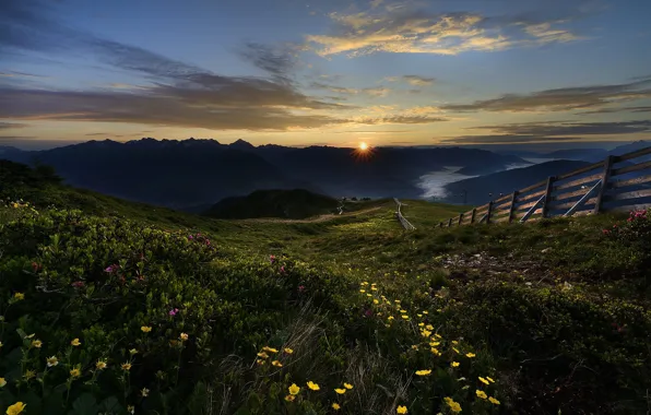 Field, summer, the sky, grass, the sun, clouds, sunset, flowers