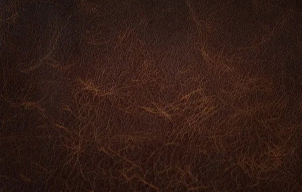 Leather, texture, leather, skin