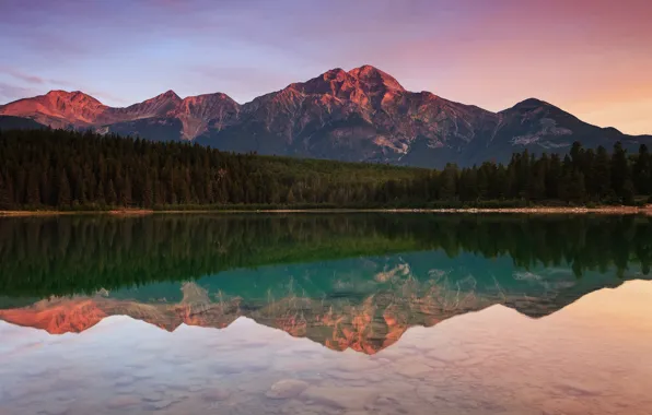Forest, water, mountains, reflection, Canada, lake Patricia, Jasper national Park, Pyramid mountain