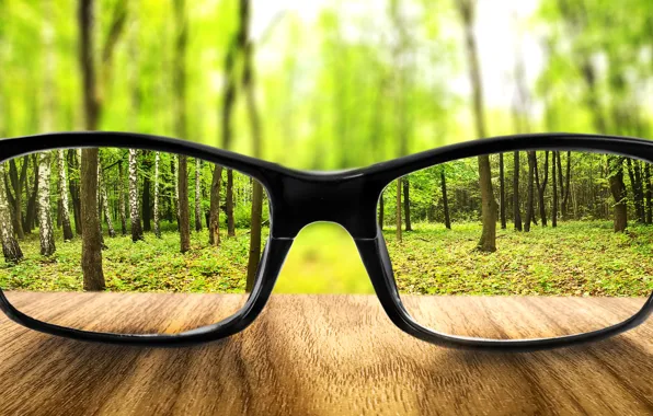 Greens, forest, trees, glasses, sharpness