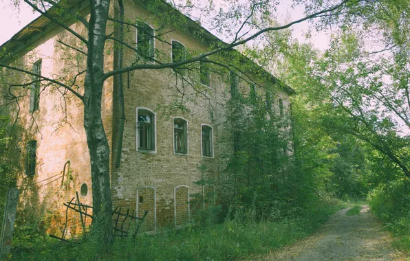 Autumn, the sky, grass, trees, building, Russia, architecture, abandoned house