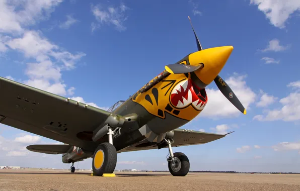 The sky, fighter, the airfield, P-40 Warhawk