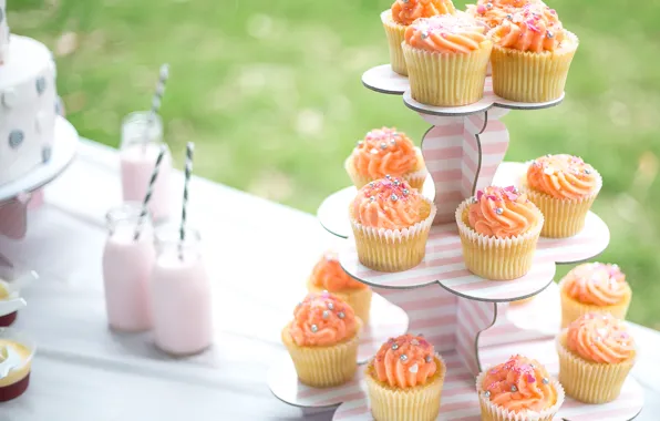 Decoration, dessert, sweet, cupcakes