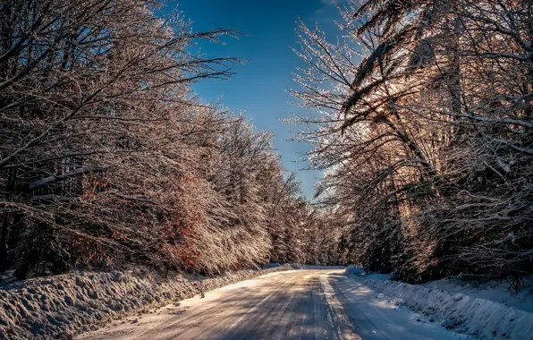Winter, road, morning