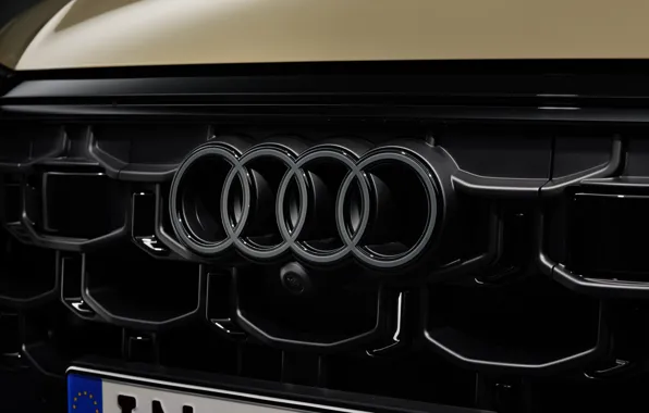 Picture Audi, logo, Q8, Audi Q8 2024