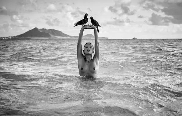 Sea, wave, girl, birds, pose, model, Girl, photographer
