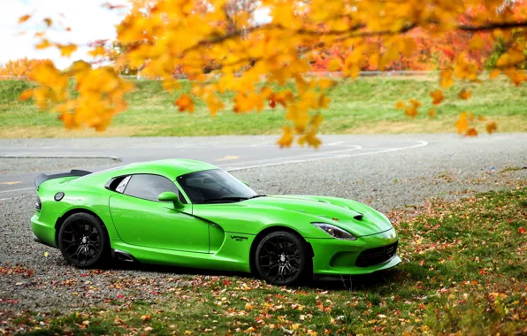 Autumn, Dodge, Viper, GTC, T/A