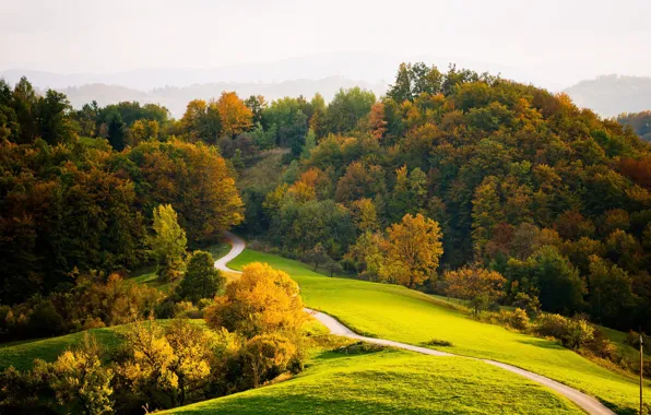 Picture road, autumn, forest, trees, mountains, forest, road, trees