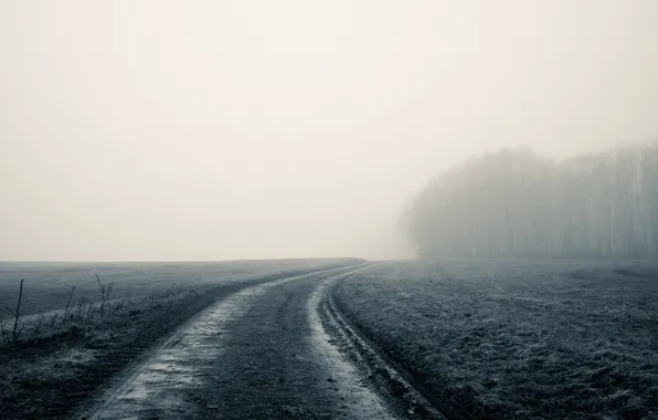 Picture road, field, fog