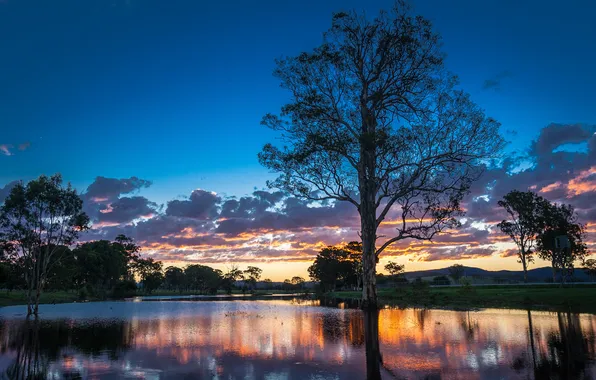 Trees, sunset, river, Australia, Australia