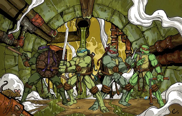 Rafael, Donatello, Leonardo, Michelangelo, teenage mutant ninja turtles