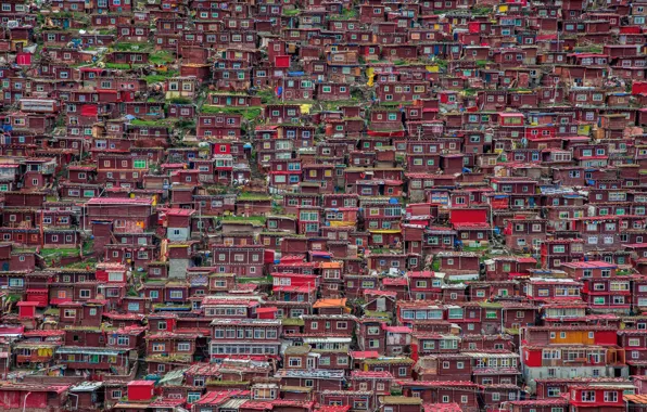 The city, home, China, China, slums