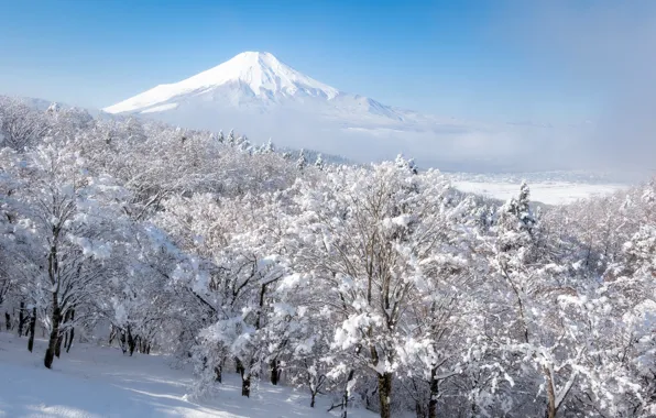 Winter, forest, the sky, snow, trees, fog, mountain, the volcano