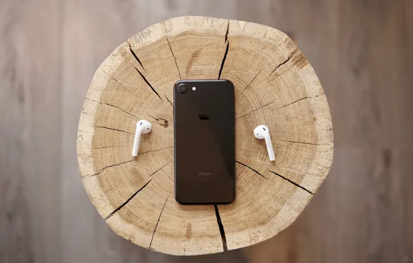 Picture macro, tree, black, iPhone, stump, headphones, wood, slice