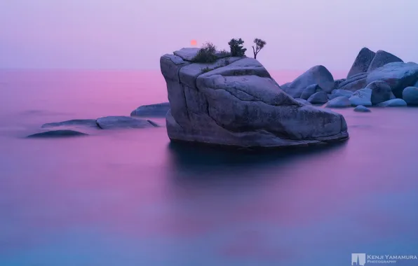 Sunset, rock, tree, photographer, Bonsai Rock, Kenji Yamamura