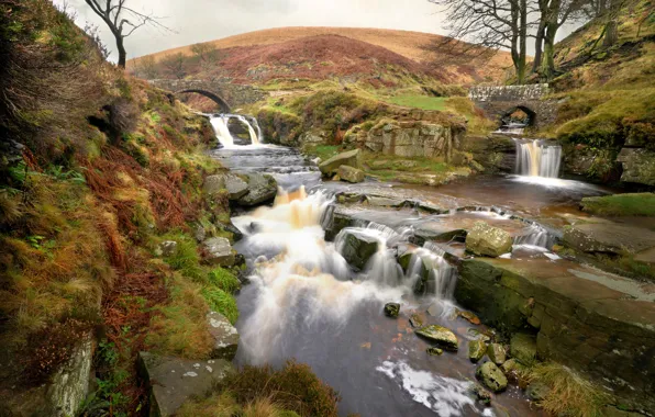 Picture bridge, river, England, Quarnford