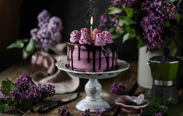 Decoration, cake, lilac, chocolate, Karina Klachuk