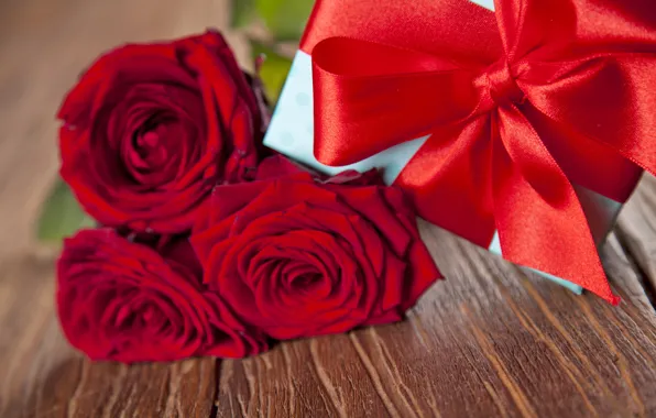 Picture red, love, romantic, gift, roses, red roses, valentine`s day