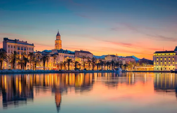 Sea, lights, palm trees, home, the evening, Croatia, Split