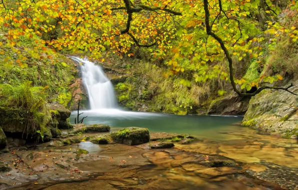 Picture autumn, forest, river, waterfall