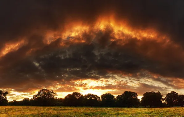 Field, clouds, rays, trees, sunset, clouds