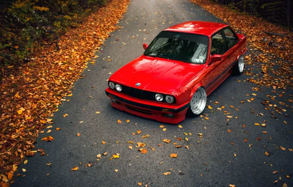 Road, autumn, leaves, BMW, E30