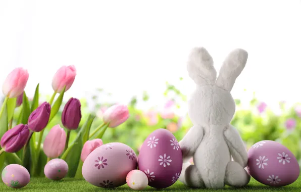 Picture flowers, eggs, spring, rabbit, Easter, tulips, flowers, tulips