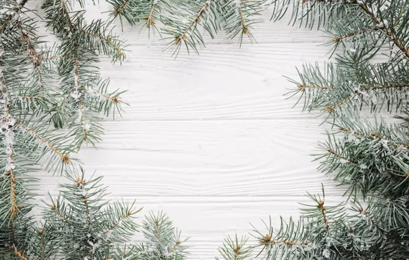 Snow, background, tree, New Year, Christmas, Christmas, wood, snow