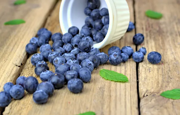 Picture berries, blueberries, fresh, wood, blueberry, blueberries, berries