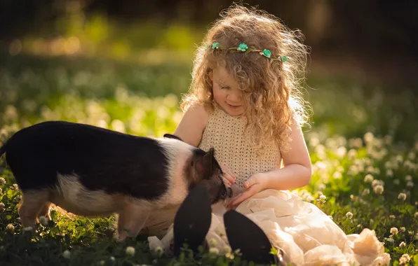 Summer, light, flowers, childhood, pose, glade, spring, dress