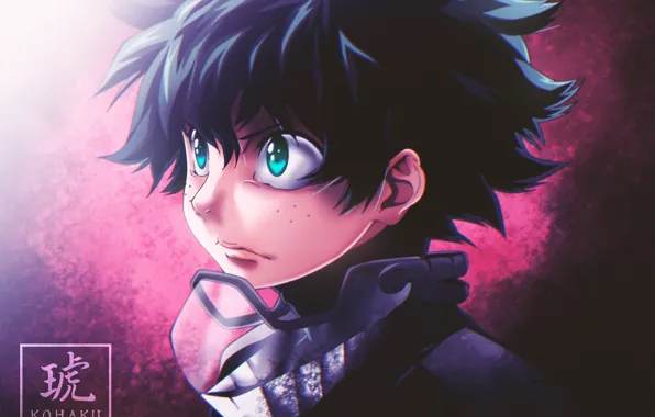 My Hero Academia, Boku No Hero Academy, Midori Isuku, My Hero Academy