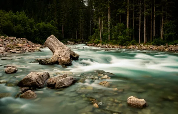 Forest, river, stones, shore, for, stump, the bottom, pond