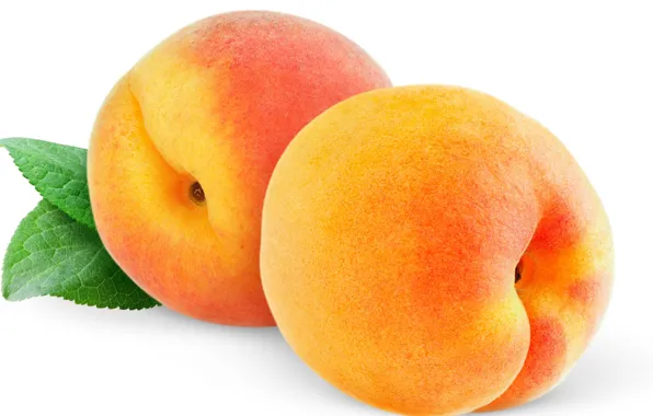 Macro, sheet, fruit, peaches