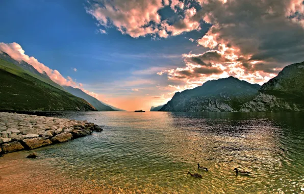 Clouds, mountains, river, stones, shore, duck