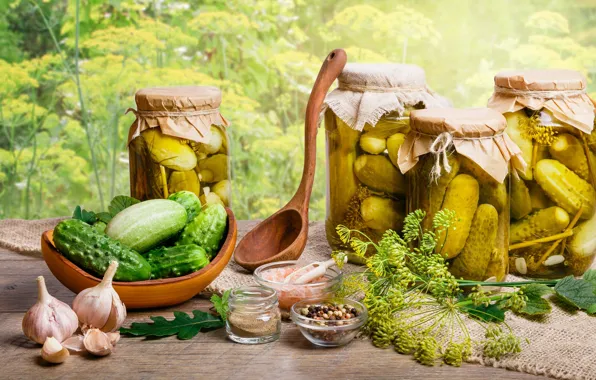 Dill, spoon, pepper, banks, cucumbers, spices, garlic, billet