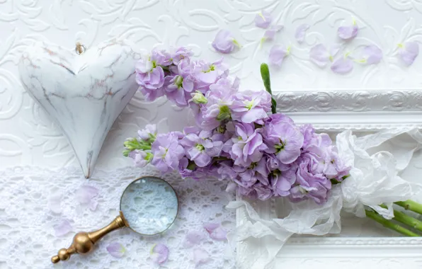 Flowers, composition, gillyflower