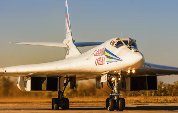 Picture Swan, The plane, USSR, Russia, Aviation, BBC, Bomber, Tupolev