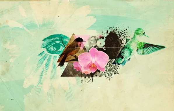Picture flower, birds, eyes, collage, Abstractia
