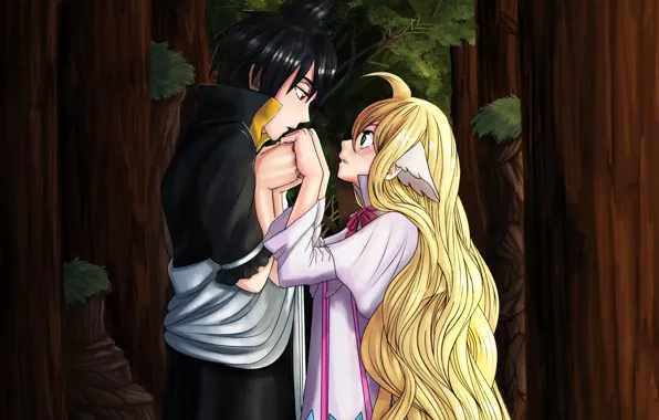 Romance, anime, art, pair, fairy tail, Fairy Tail
