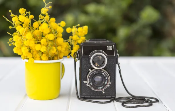 Flowers, Board, bouquet, yellow, the camera, mug, bokeh, the camera